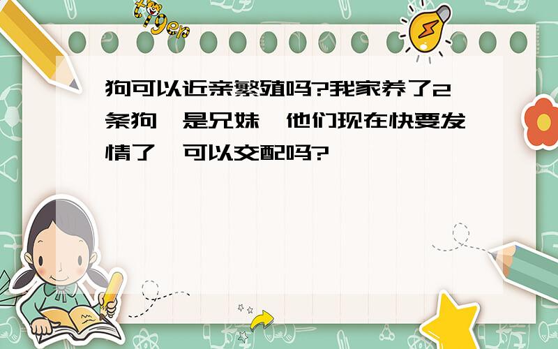 狗可以近亲繁殖吗?我家养了2条狗,是兄妹,他们现在快要发情了,可以交配吗?