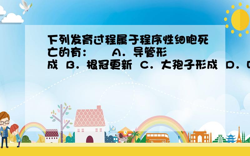 下列发育过程属于程序性细胞死亡的有：     A．导管形成  B．根冠更新  C．大孢子形成  D．叶片出现病斑 答案是ABCD,为什么有CD?