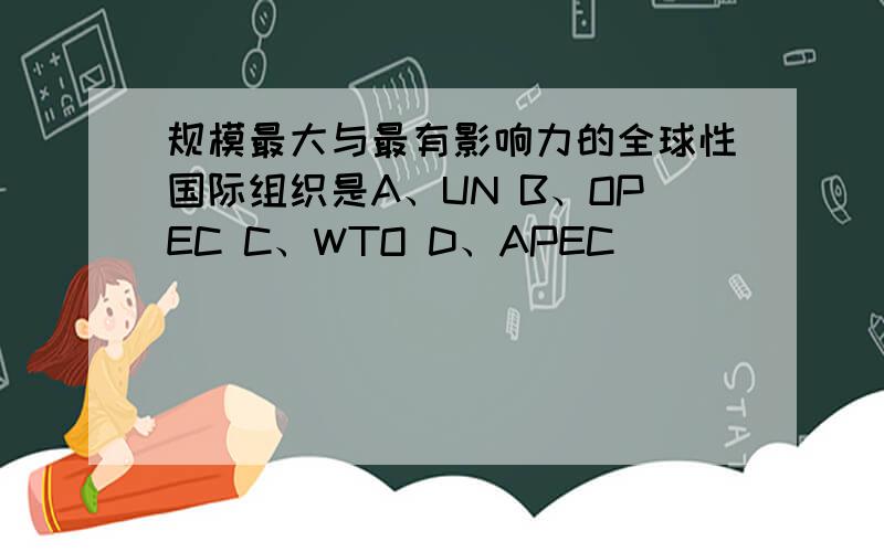 规模最大与最有影响力的全球性国际组织是A、UN B、OPEC C、WTO D、APEC