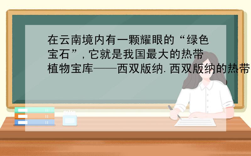 在云南境内有一颗耀眼的“绿色宝石”,它就是我国最大的热带植物宝库——西双版纳.西双版纳的热带雨林古在云南境内有一颗耀眼的“绿色宝石”,它就是我国最大的热带植物宝库——西双