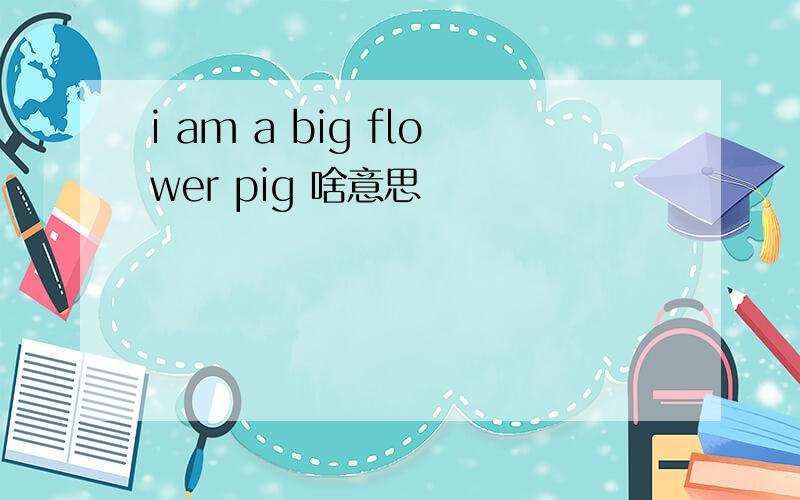 i am a big flower pig 啥意思