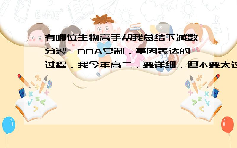 有哪位生物高手帮我总结下减数分裂,DNA复制．基因表达的过程．我今年高二．要详细．但不要太过深奥．不要照住教科书打的