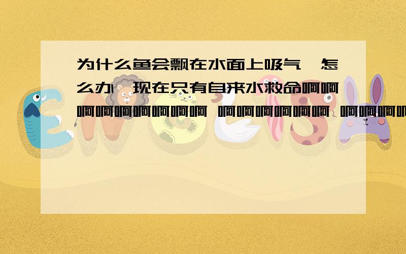 为什么鱼会飘在水面上吸气,怎么办,现在只有自来水救命啊啊啊啊啊啊啊啊啊 啊啊啊啊啊啊 啊啊啊啊啊 在线等