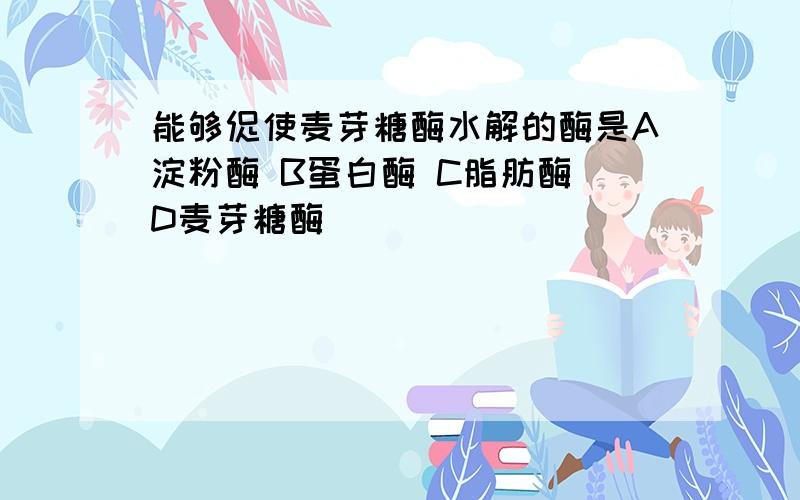 能够促使麦芽糖酶水解的酶是A淀粉酶 B蛋白酶 C脂肪酶 D麦芽糖酶