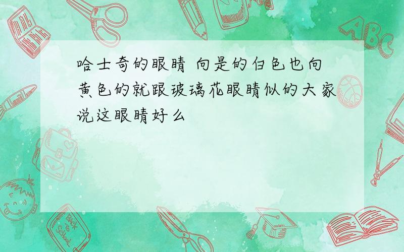 哈士奇的眼睛 向是的白色也向黄色的就跟玻璃花眼睛似的大家说这眼睛好么