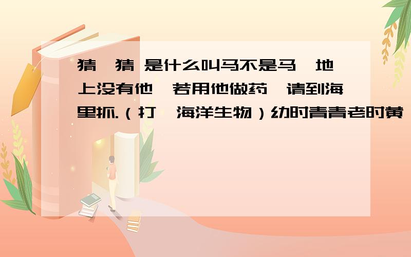 猜一猜 是什么叫马不是马,地上没有他,若用他做药,请到海里抓.（打一海洋生物）幼时青青老时黄,打起辫子晒太阳,赤日炎炎有人用,三九严寒丢一旁.（打一穿戴用品）