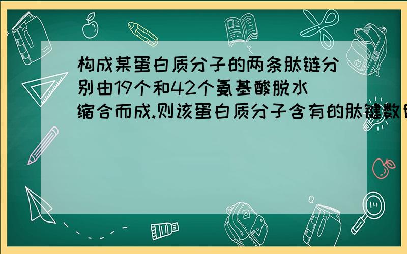 构成某蛋白质分子的两条肽链分别由19个和42个氨基酸脱水缩合而成.则该蛋白质分子含有的肽键数目为?A.58