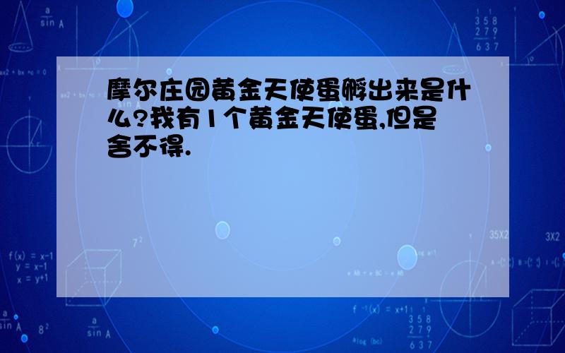 摩尔庄园黄金天使蛋孵出来是什么?我有1个黄金天使蛋,但是舍不得.