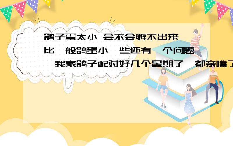 鸽子蛋太小 会不会孵不出来 比一般鸽蛋小一些还有一个问题,我家鸽子配对好几个星期了,都亲嘴了,怎么还不下蛋