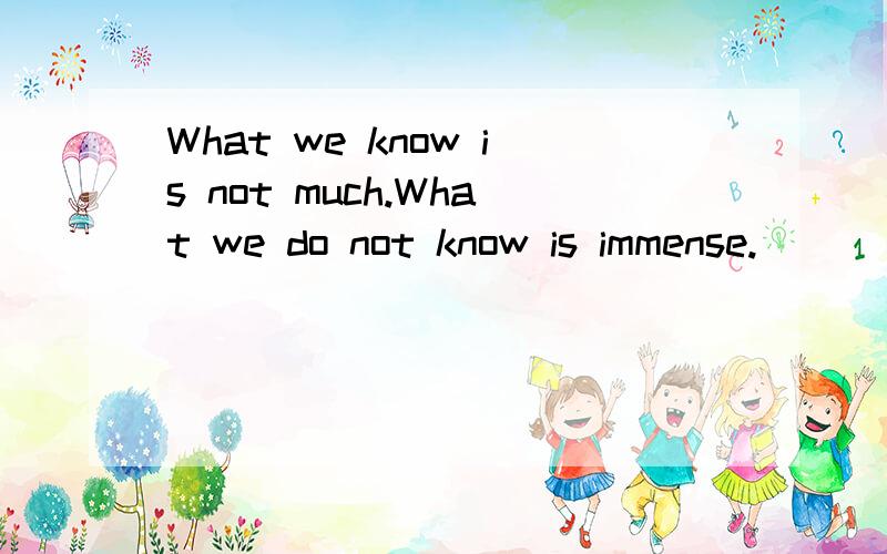 What we know is not much.What we do not know is immense.