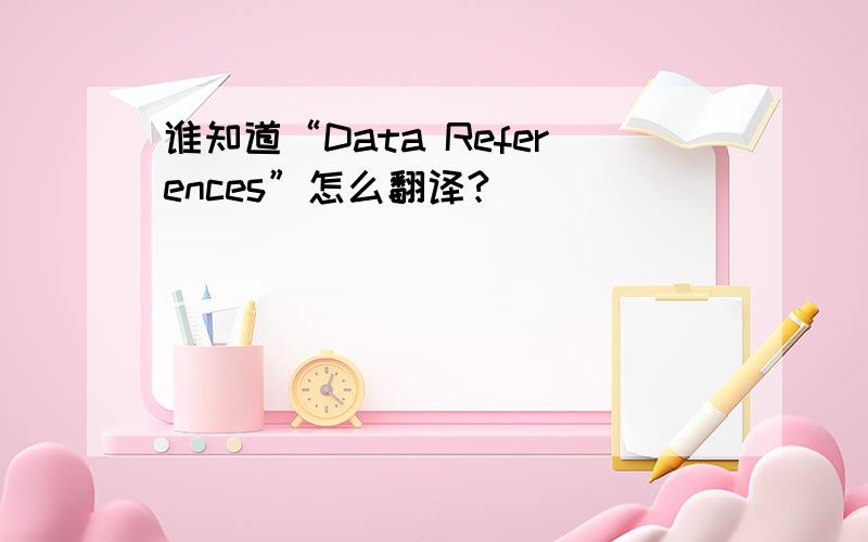 谁知道“Data References”怎么翻译?