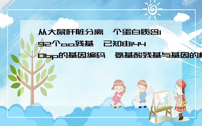 从大鼠肝脏分离一个蛋白质含192个aa残基,已知由1440bp的基因编码,氨基酸残基与基因的核苷酸对之间的关系192个氨基酸与1440bp 怎样的换算关系?