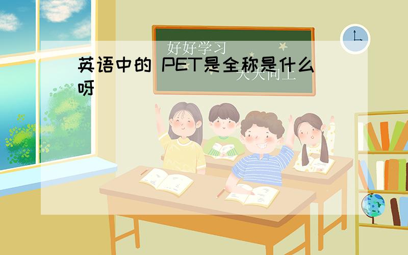 英语中的 PET是全称是什么呀