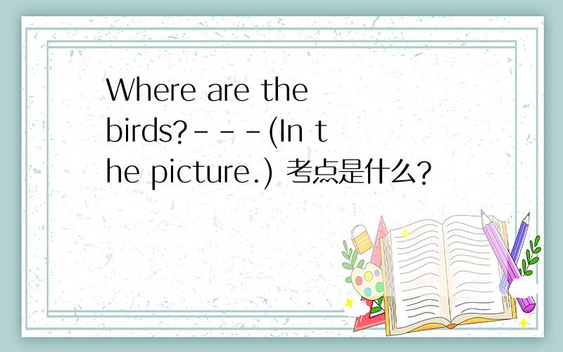 Where are the birds?---(In the picture.) 考点是什么?