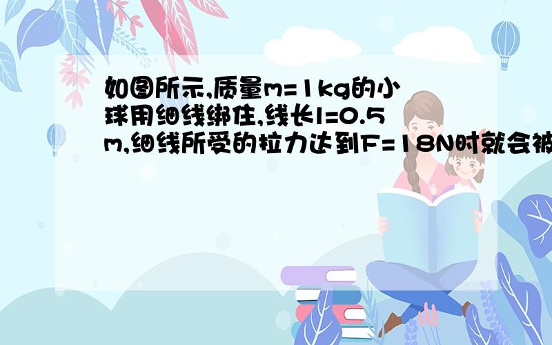 如图所示,质量m=1kg的小球用细线绑住,线长l=0.5m,细线所受的拉力达到F=18N时就会被拉断,当小球如图所示释放后摆到悬点正下方时,细线恰好被拉断,求小球摆到悬点正下方时速度的大小