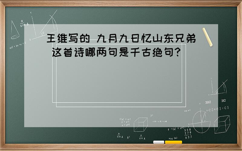 王维写的 九月九日忆山东兄弟 这首诗哪两句是千古绝句?