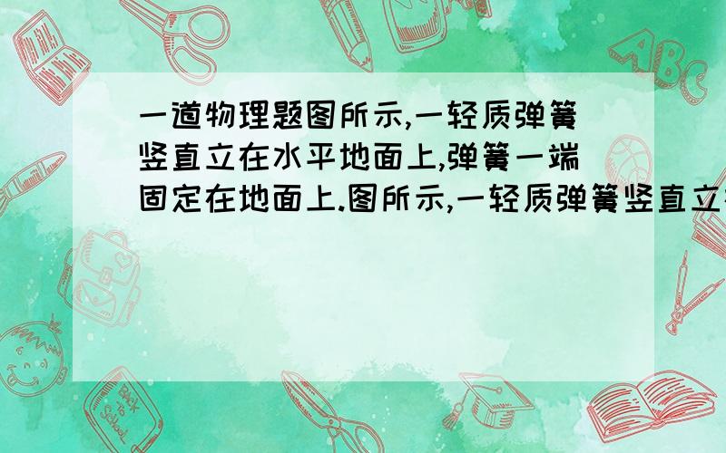 一道物理题图所示,一轻质弹簧竖直立在水平地面上,弹簧一端固定在地面上.图所示,一轻质弹簧竖直立在水平地面上,弹簧一端固定在地面上.一小球从高处自由下落到弹簧上端,将弹簧压缩至最