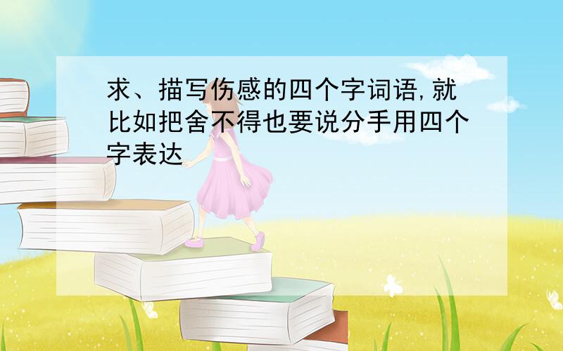 求、描写伤感的四个字词语,就比如把舍不得也要说分手用四个字表达