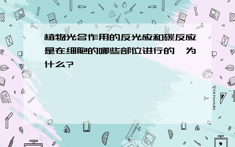 植物光合作用的反光应和碳反应是在细胞的哪些部位进行的,为什么?