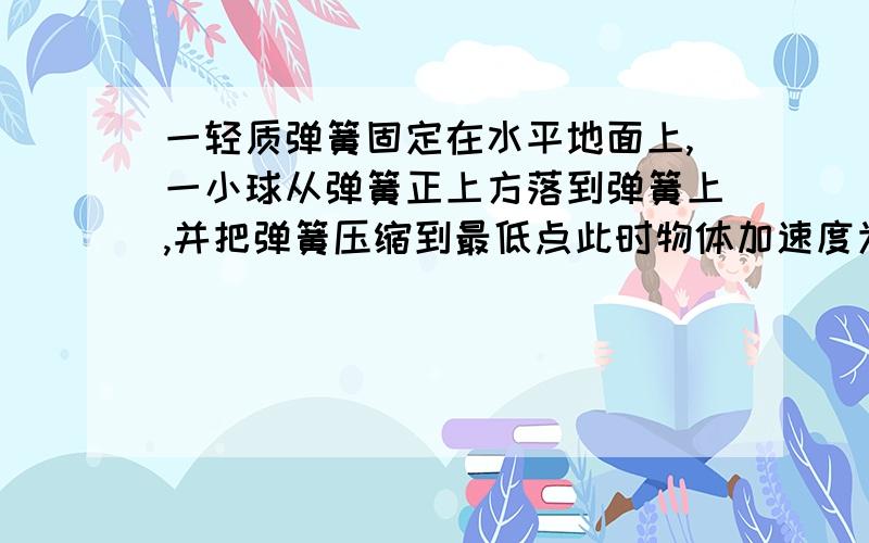 一轻质弹簧固定在水平地面上,一小球从弹簧正上方落到弹簧上,并把弹簧压缩到最低点此时物体加速度为什么最大,加速度为什么大于g?