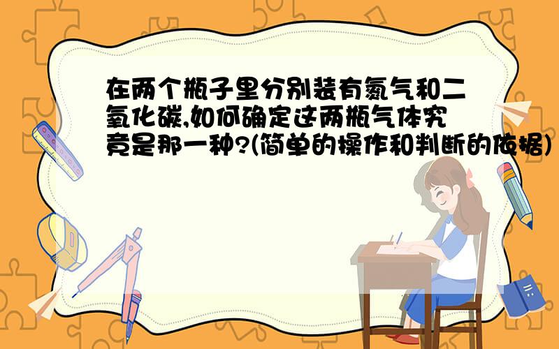 在两个瓶子里分别装有氮气和二氧化碳,如何确定这两瓶气体究竟是那一种?(简单的操作和判断的依据)