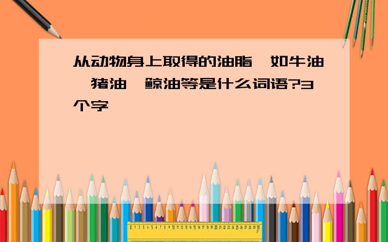 从动物身上取得的油脂,如牛油、猪油、鲸油等是什么词语?3个字