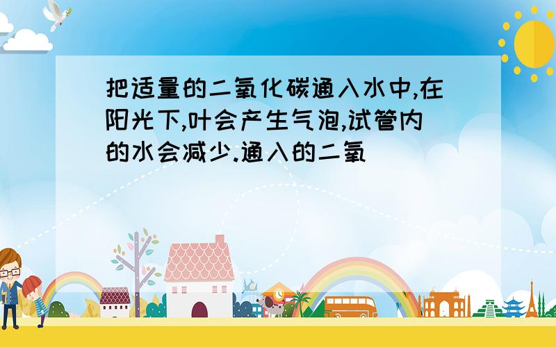 把适量的二氧化碳通入水中,在阳光下,叶会产生气泡,试管内的水会减少.通入的二氧