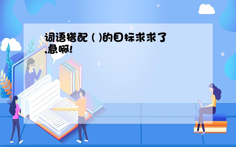 词语搭配 ( )的目标求求了,急啊!