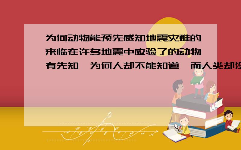 为何动物能预先感知地震灾难的来临在许多地震中应验了的动物有先知,为何人却不能知道,而人类却没破解这个迷团