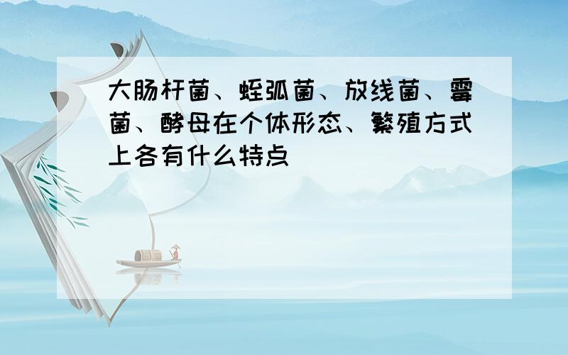 大肠杆菌、蛭弧菌、放线菌、霉菌、酵母在个体形态、繁殖方式上各有什么特点