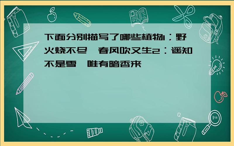 下面分别描写了哪些植物1；野火烧不尽,春风吹又生2：遥知不是雪,唯有暗香来