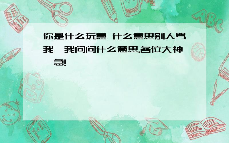 你是什么玩意 什么意思别人骂我,我问问什么意思.各位大神,急!