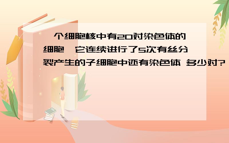 一个细胞核中有20对染色体的细胞,它连续进行了5次有丝分裂产生的子细胞中还有染色体 多少对?