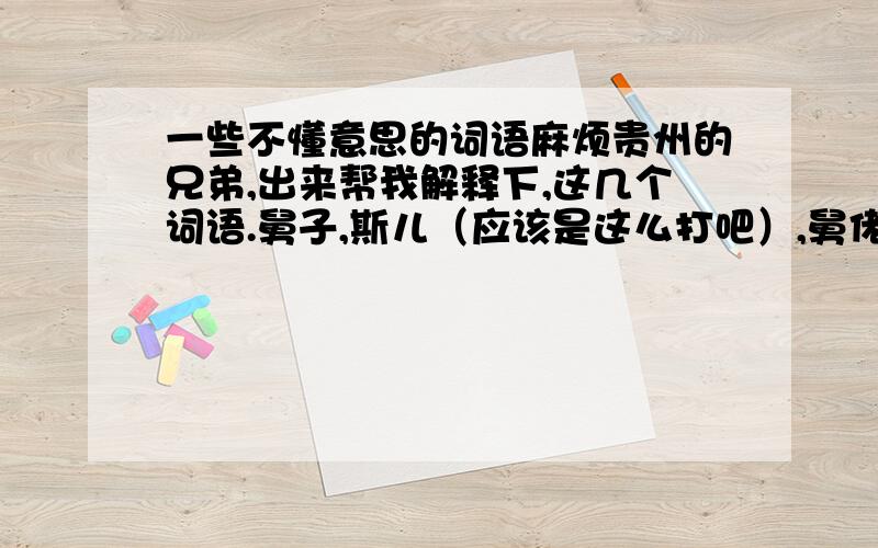 一些不懂意思的词语麻烦贵州的兄弟,出来帮我解释下,这几个词语.舅子,斯儿（应该是这么打吧）,舅佬,仙人.这几个词语是哪样意思?知道的打出来下.