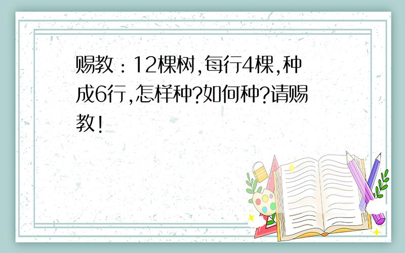 赐教：12棵树,每行4棵,种成6行,怎样种?如何种?请赐教!