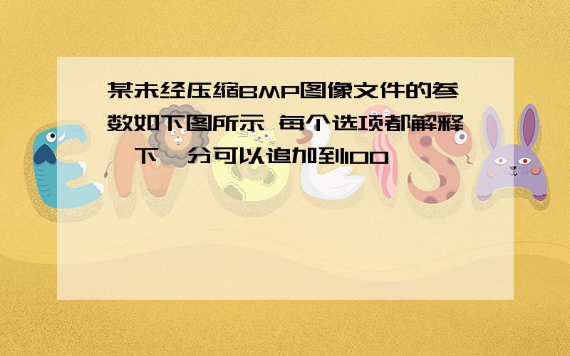 某未经压缩BMP图像文件的参数如下图所示 每个选项都解释一下,分可以追加到100