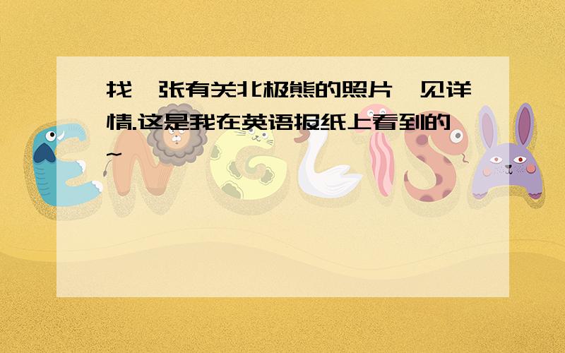 找一张有关北极熊的照片,见详情.这是我在英语报纸上看到的~