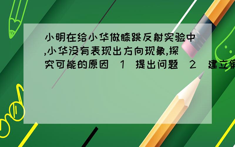 小明在给小华做膝跳反射实验中,小华没有表现出方向现象,探究可能的原因（1）提出问题（2）建立假设A:B:C:（3）制定实验方案：（4）进行实验：（5）做出结论：