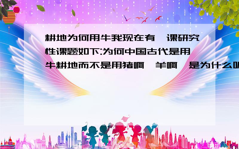 耕地为何用牛我现在有一课研究性课题如下:为何中国古代是用牛耕地而不是用猪啊,羊啊,是为什么呢?