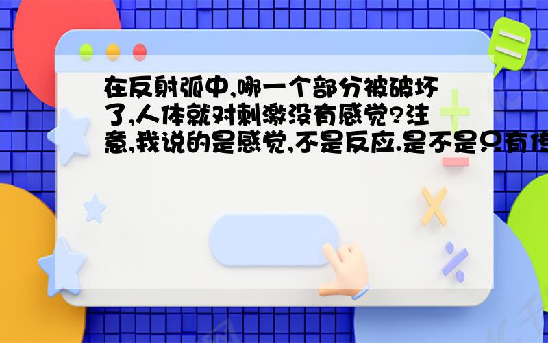 在反射弧中,哪一个部分被破坏了,人体就对刺激没有感觉?注意,我说的是感觉,不是反应.是不是只有传到了神经中枢,我们才知道被刺激了?