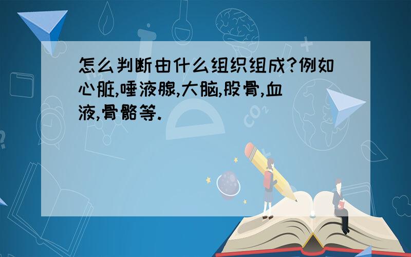 怎么判断由什么组织组成?例如心脏,唾液腺,大脑,股骨,血液,骨骼等.