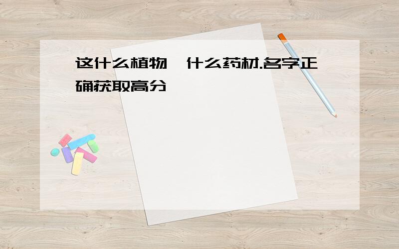 这什么植物,什么药材.名字正确获取高分