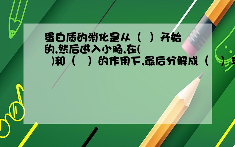 蛋白质的消化是从（  ）开始的,然后进入小肠,在(     )和（   ）的作用下,最后分解成（   ）现在就要,急