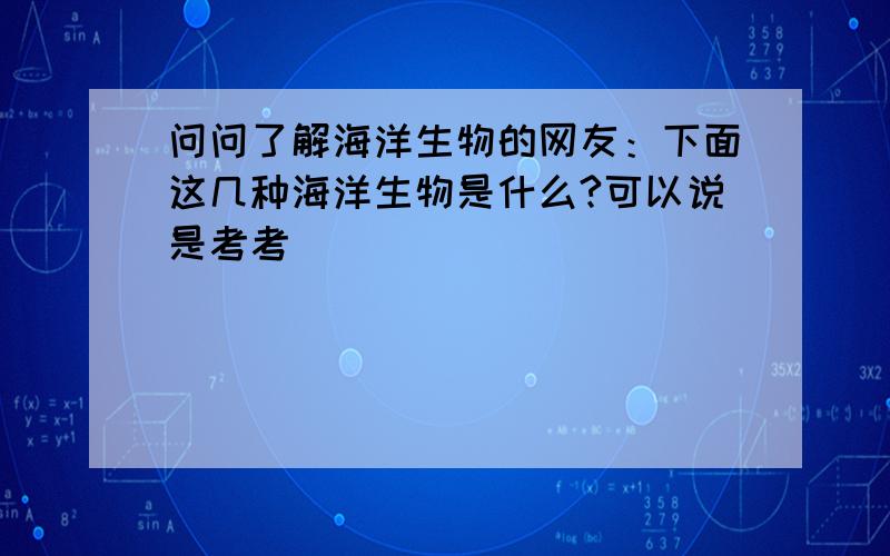 问问了解海洋生物的网友：下面这几种海洋生物是什么?可以说是考考