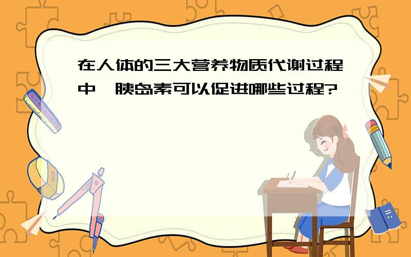 在人体的三大营养物质代谢过程中,胰岛素可以促进哪些过程?