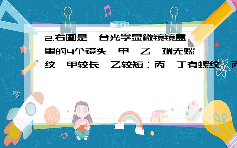 2.右图是一台光学显微镜镜盒里的4个镜头,甲、乙一端无螺纹,甲较长,乙较短；丙、丁有螺纹,丙较长,丁较短.若要在视野内看到较多的细胞和要看到较清晰的细胞结构,宜选用的镜头组合分别是