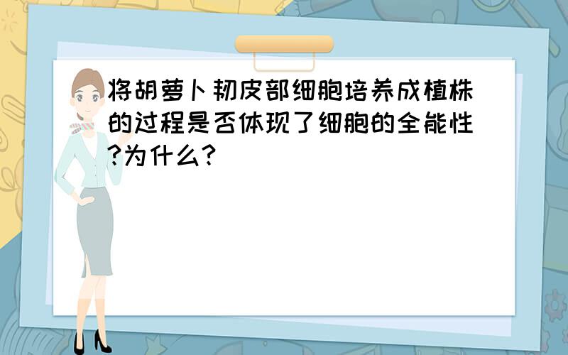 将胡萝卜韧皮部细胞培养成植株的过程是否体现了细胞的全能性?为什么?