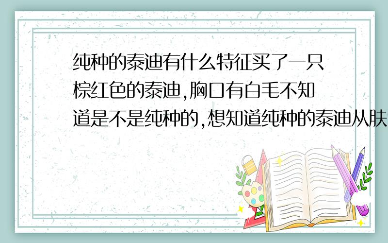 纯种的泰迪有什么特征买了一只棕红色的泰迪,胸口有白毛不知道是不是纯种的,想知道纯种的泰迪从肤色,毛发,眼睛形状等各个方面都有什么显著的特点