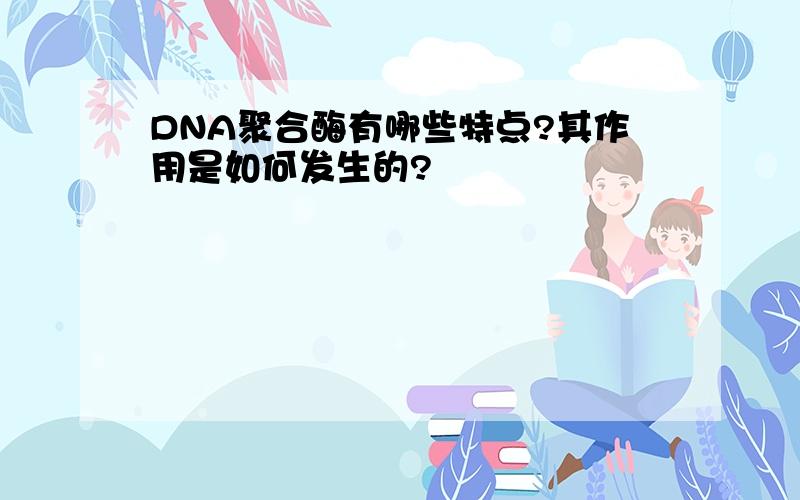 DNA聚合酶有哪些特点?其作用是如何发生的?