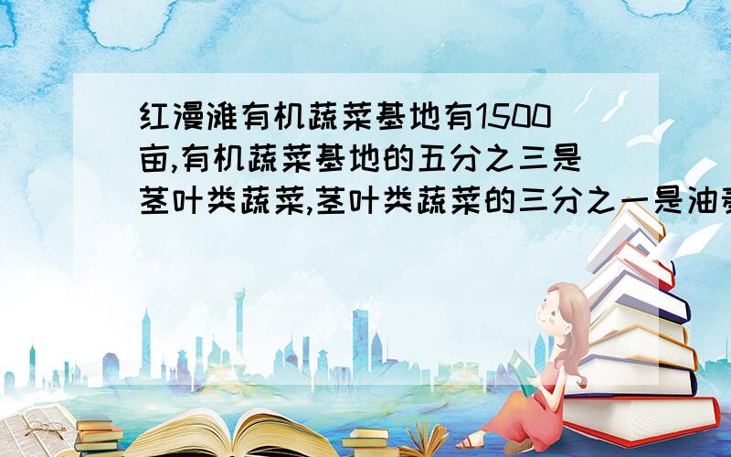 红漫滩有机蔬菜基地有1500亩,有机蔬菜基地的五分之三是茎叶类蔬菜,茎叶类蔬菜的三分之一是油麦菜.